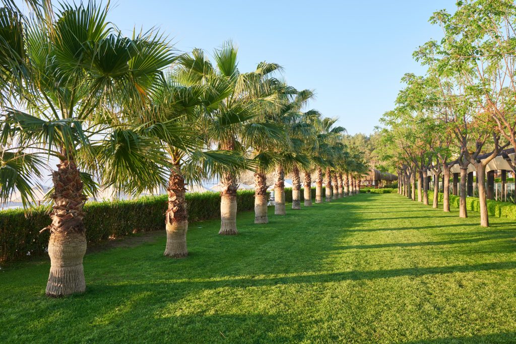 Exploring Sharjah's Stunning Beaches and Parks