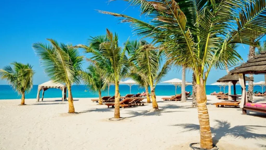 Here Comes the Sun 2