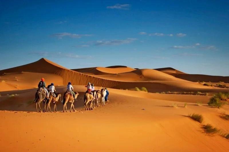 5. Dubai Desert Safari with BBQ Dinner