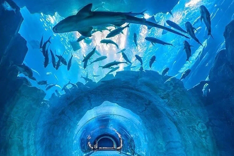 3. Dubai Aquarium